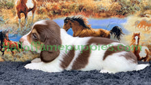 Load image into Gallery viewer, Annie is a long hair miniature Sable Piebald Dachshund puppy!
